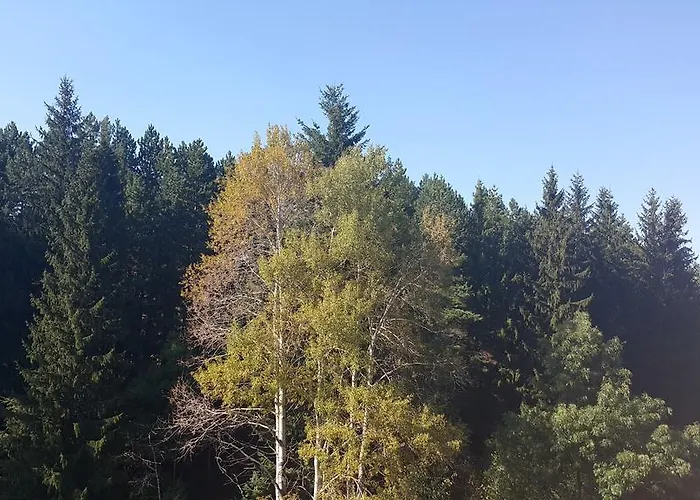 Хотел траяна *